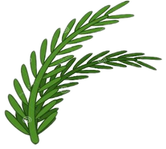 Rosemary sprig mascot